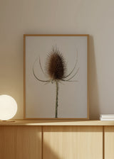 Cuadro decorativo de estilo minimalista y nórdico colocado en salón, flor botánica minimalista en tonos neutros, modelo Flowery III