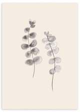 Cuadro floral, ilustración, Posters, Prints, & Visual Artwork, Eucalyptus Twigs