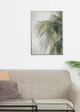 Decoración con cuadros, ideas - lámina decorativa de fotografía de palmera sobre fondo gris. Foto de palmera.