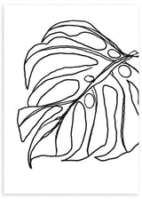 lámina decorativa en blanco y negro y minimalista con hoja