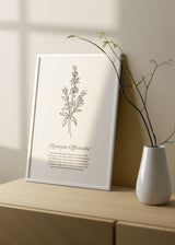 Decoración con cuadros, ideas - lámina decorativa de ilustración de flor hisopo minimalista y sobre fondo beige