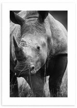 cuadro fotografía de rinoceronte en blanco y negro. Lámina decorativa de foto de rinoceronte.