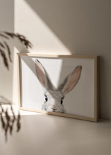 Cuadro horizontal de conejo gris claro asomándose, con orejas largas rosadas, ojos oscuros brillantes, fondo blanco limpio y estilo animales. Disponible en kudeko.com