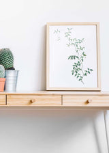 Decoración con cuadros, ideas - lámina decorativa estilo nórdico de rama verde. Ilustración floral