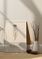 Decoración con cuadros, ideas - lámina decorativa ilustración de flor Rodiola minimalista sobre fondo beige