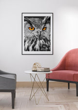 Decoración con cuadros, ideas - cuadro de fotografía de búho en blanco y negro. Lámina decorativa de búho.