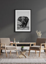 Decoración con cuadros, ideas -  cuadro foto de elefante en blanco y negro