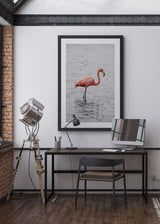 Decoración con cuadros, ideas - cuadro fotografía de flamenco en blanco y negro. Lámina decorativa de foto de flamenco.