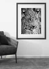 Cuadro con retrato frontal de guepardo en blanco y negro, mirada intensa, pelaje moteado detallado y estilo fotográfico. Disponible en kudeko.com