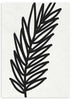 lámina decorativa minimalista y en blanco y negro de flor, hoja dibujada en trazo grueso
