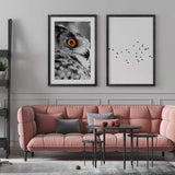 Decoración con cuadros, mural - cuadro fotografía de buho en blanco y negro. Lámina decorativa de foto de buho.