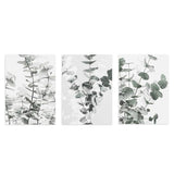 conjunto de cuadros nórdicos con flores, eucaliptos - kudeko