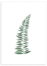 Tableau encadré avec branche stylisée de feuilles allongées vert sauge et vert grisé sur fond blanc, composition épurée au style minimaliste et élégant. Disponible sur kudeko.com