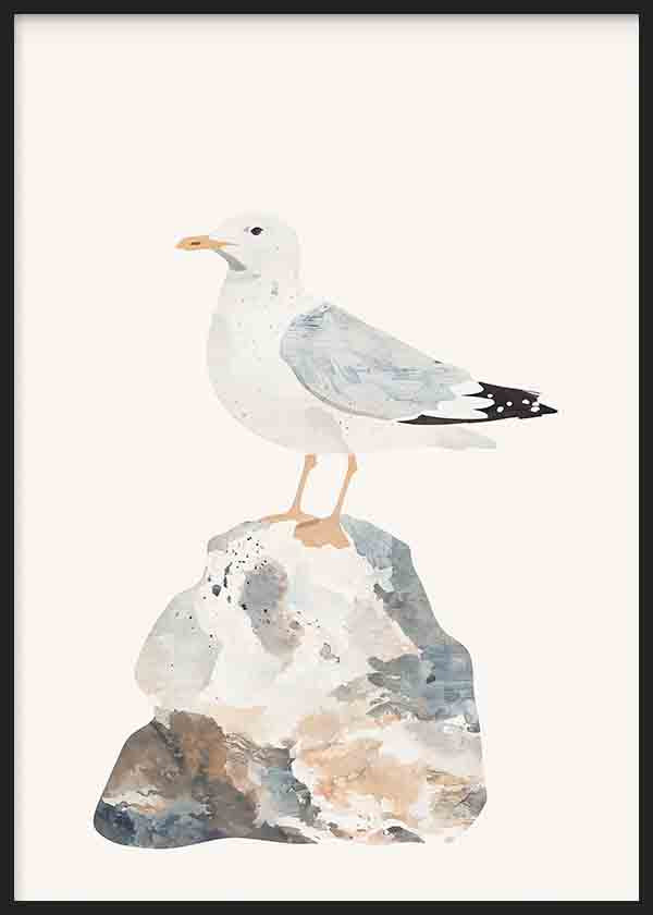 Gaviota Infantil II