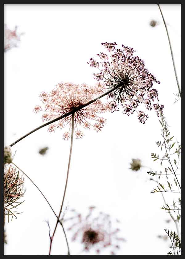Cuadro minimalista con flores silvestres en tonos suaves sobre fondo blanco, ideal para decoraciones nórdicas. Disponible en kudeko.com.
