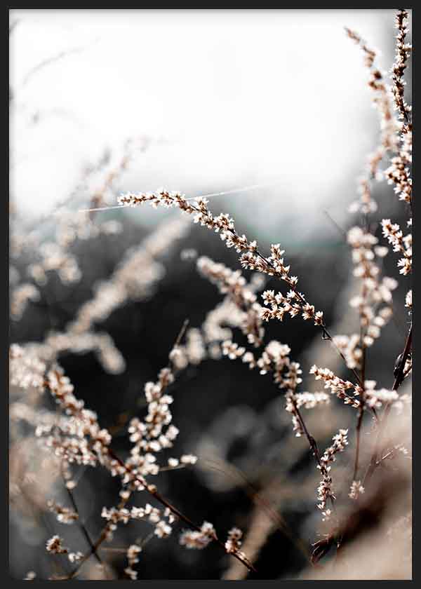Cuadro con ramas de flores silvestres en tonos beige y marrón sobre fondo desenfocado. Disponible en kudeko.com.
