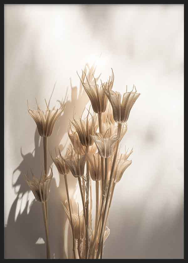 Tableau minimaliste avec fleurs séchées éclairées par une lumière naturelle, projetant des ombres douces sur fond neutre. Disponible sur kudeko.com