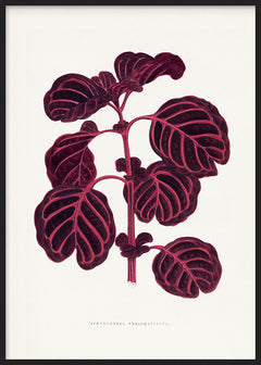 Modernes Wandbild mit botanischem Blattmotiv in Purpur- und Bordeauxtönen, elegante dekorative Gestaltung für den Innenraum. Erhältlich auf kudeko.com