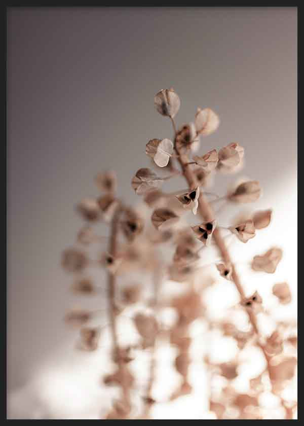 Quadro minimalista com flores secas em tons quentes e luz suave, ambiente decorativo sereno e depurado. Disponível em kudeko.com