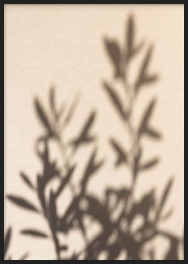 Tableau minimaliste avec ombres de branches projetées sur fond neutre, idéal pour une décoration sereine et naturelle. Disponible sur kudeko.com