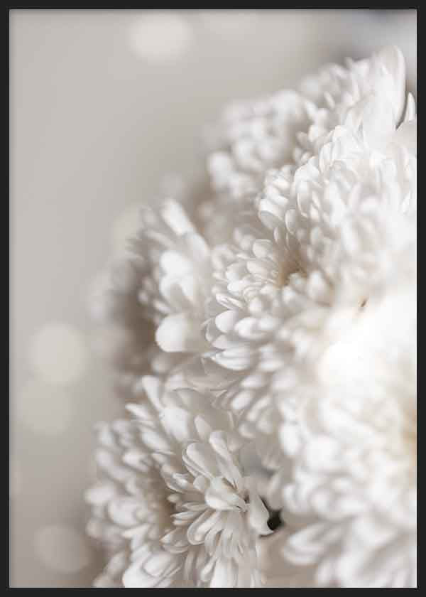 Quadro com flores brancas em primeiro plano e iluminação suave. Disponível em kudeko.com