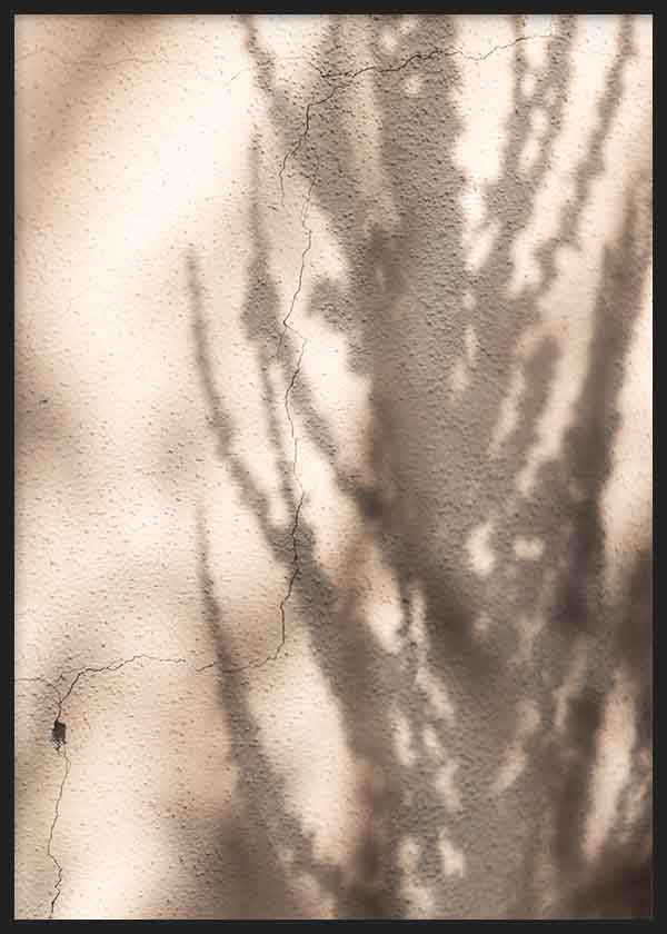 Quadro com sombras de ramos projetadas sobre parede com textura quente. Disponível em kudeko.com
