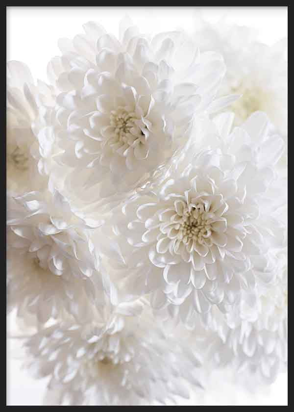Quadro minimalista com flores brancas em primeiro plano, ideal para uma decoração elegante e serena. Disponível em kudeko.com