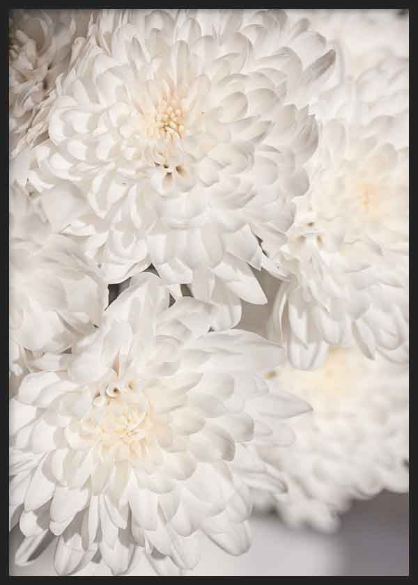 Tableau de fleurs blanches aux pétales délicats et à la texture douce. Disponible sur kudeko.com