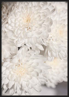 Tableau de fleurs blanches aux pétales délicats et à la texture douce. Disponible sur kudeko.com