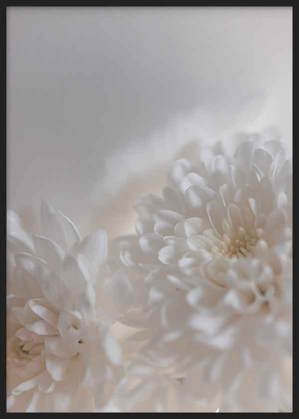 Quadro de flores brancas em primeiro plano com luz suave, ideal para decorações modernas e nórdicas. Disponível em kudeko.com