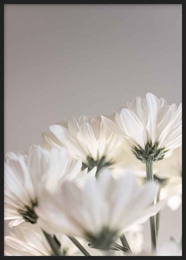 Quadro minimalista com flores brancas, luz suave e fundo neutro, efeito decorativo discreto para um interior contemporâneo. Disponível em kudeko.com