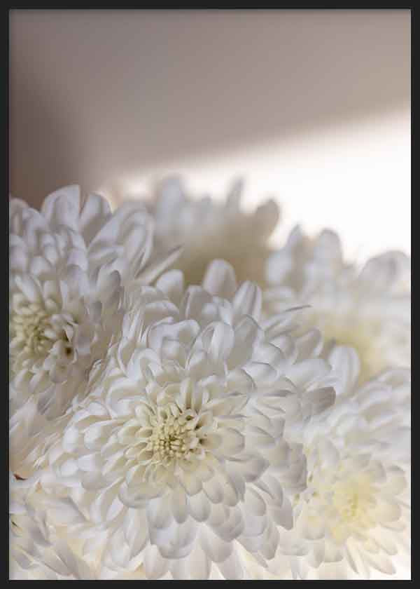 Cuadro con flores blancas y luz natural, transmitiendo serenidad y frescura. Disponible en kudeko.com.
