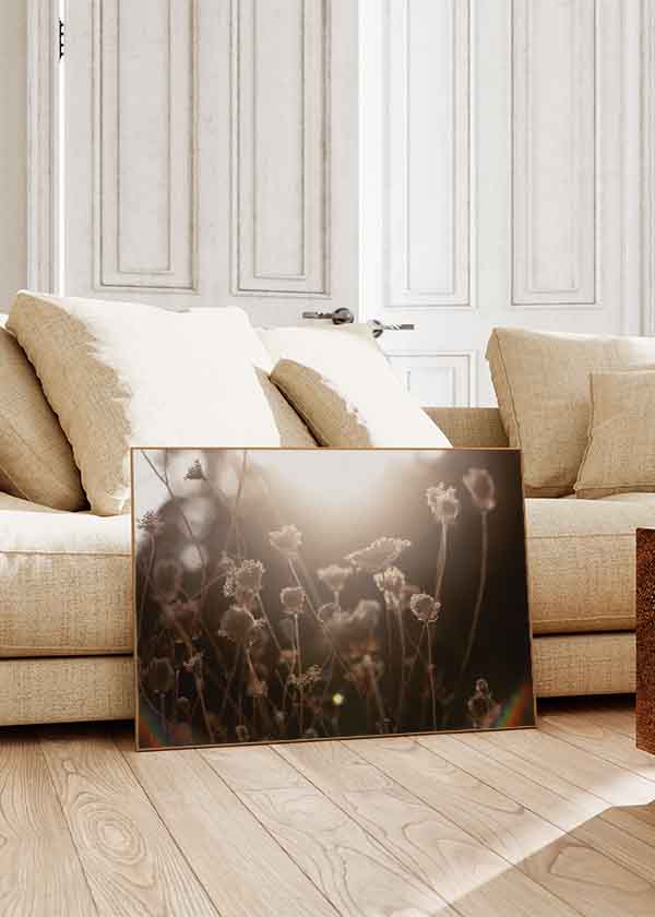Horizontales Wandbild mit wilden Blumen, die von der Sonne bei Sonnenuntergang beleuchtet werden, in warmer und natürlicher Stimmung. Erhältlich auf kudeko.com