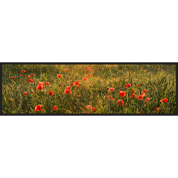 Poppy World II
