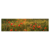 Horizontales Wandbild eines wunderschönen Feldes mit roten Mohnblumen, die von der Sonne beleuchtet werden. Verfügbar auf kudeko.com.