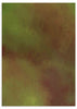 Tableau encadré avec composition abstraite organique de formes diffuses en vert mousse, olive et brun rougeâtre, avec texture visuelle douce et style abstrait contemporain. Disponible sur kudeko.com