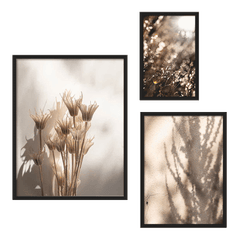 Set aus drei Wandbildern mit getrockneten Blumen, Lichtreflexen, botanischen Schatten sowie Beige-, Creme- und sanften Brauntönen im naturinspirierten Landschaftsstil. Erhältlich auf kudeko.com