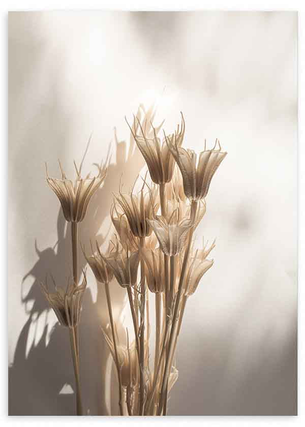 Cuadro minimalista con flores secas iluminadas por luz natural, proyectando sombras suaves sobre fondo neutro. Disponible en kudeko.com.
