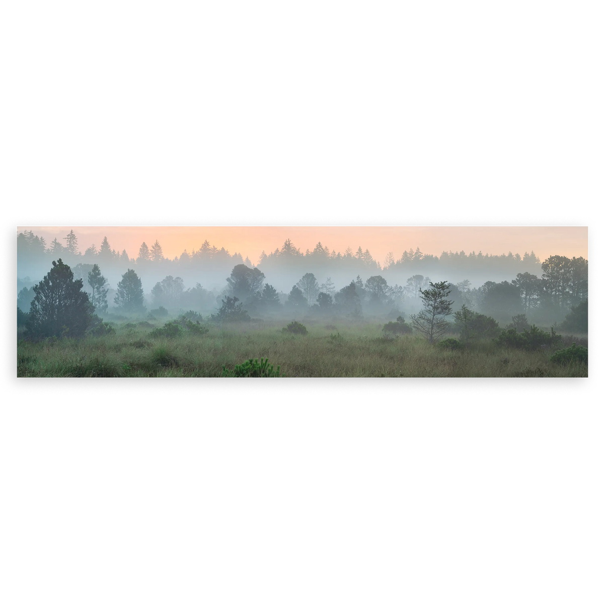 Cuadro horizontal fotográfico de un paisaje sereno con neblina. Disponible en kudeko.com