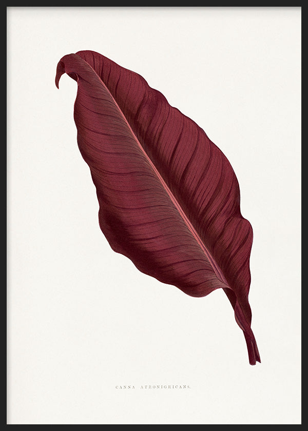 Tableau moderne avec feuille botanique dans des tons bordeaux, pour une décoration murale élégante et contemporaine. Disponible sur kudeko.com