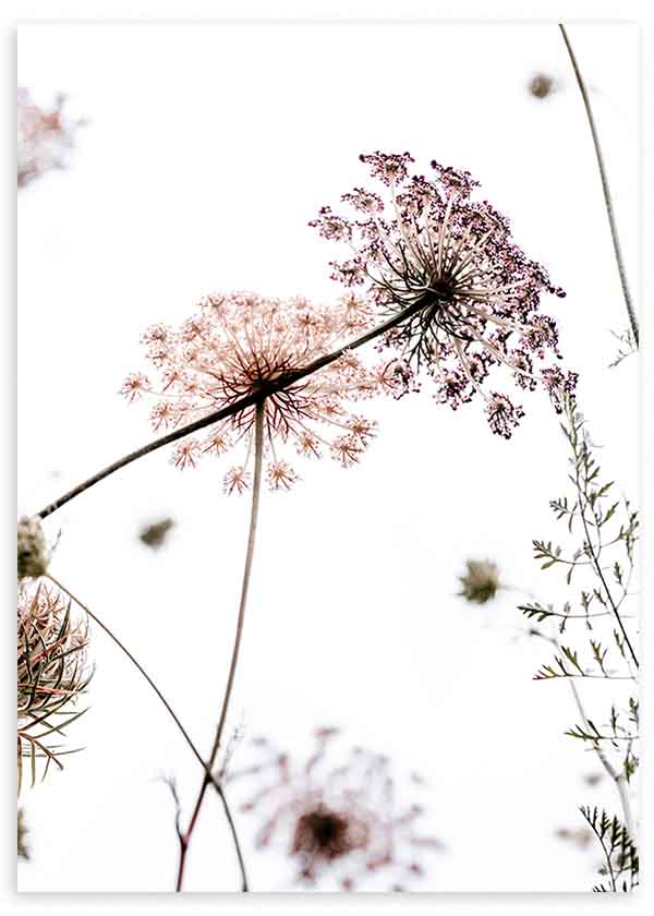 Tableau minimaliste avec fleurs sauvages dans des tons doux sur fond blanc, idéal pour une décoration nordique. Disponible sur kudeko.com