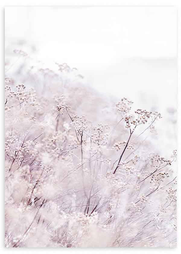 Quadro minimalista com flores silvestres em tons brancos e fundo etéreo, ideal para decorações nórdicas. Disponível em kudeko.com