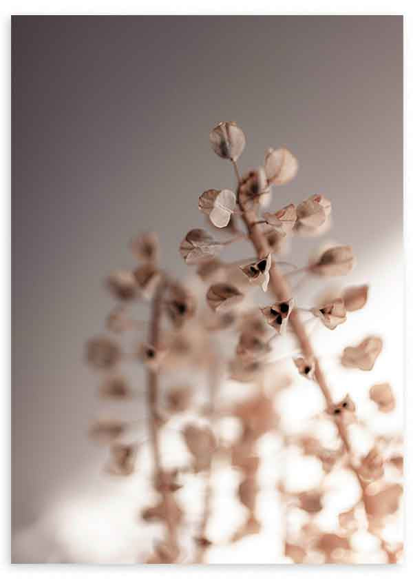 Wandbild minimalistisch mit getrockneten Blumen in warmen Farbtönen und gedämpftem Licht, ruhige und klare dekorative Ausstrahlung. Erhältlich auf kudeko.com
