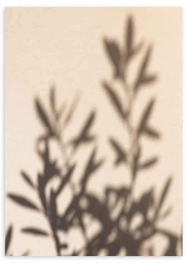 Tableau minimaliste avec ombres de branches projetées sur fond neutre, idéal pour une décoration sereine et naturelle. Disponible sur kudeko.com