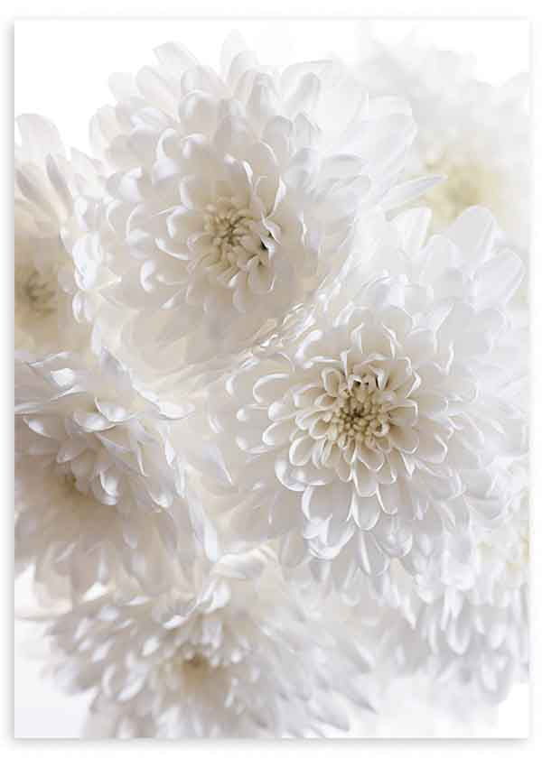 Tableau minimaliste avec fleurs blanches au premier plan, idéal pour une décoration élégante et apaisante. Disponible sur kudeko.com