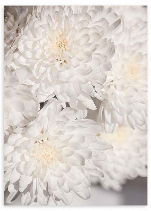 Quadro de flores brancas com pétalas delicadas e textura suave. Disponível em kudeko.com