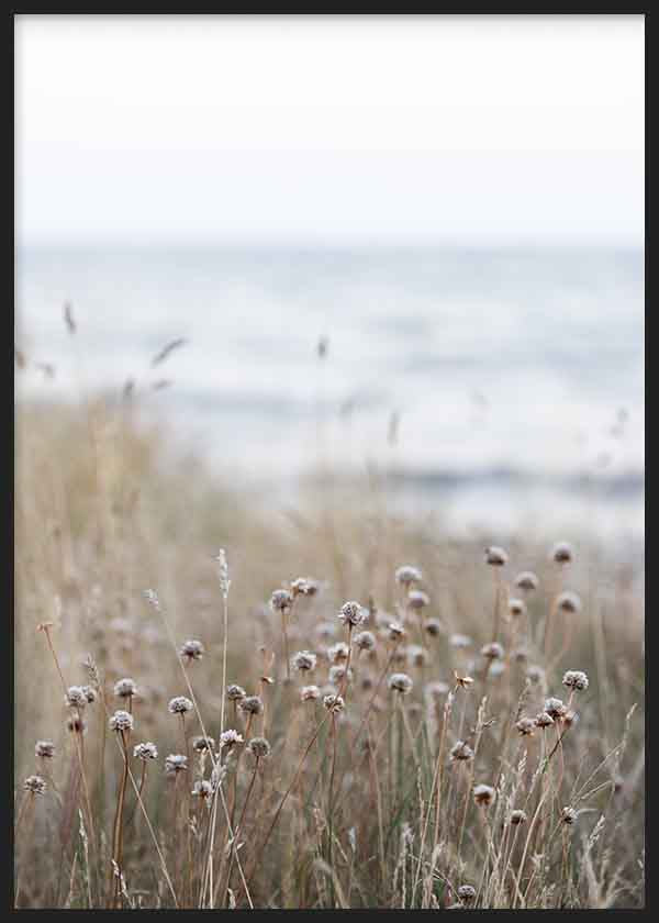 Coast Landscapes 4