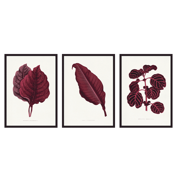 Three Combo - Pink Leaf Illustration