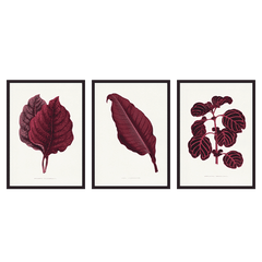 Set aus drei botanischen Wandbildern in Bordeauxtönen mit dekorativer Illustration rosafarbener Blätter. Erhältlich auf kudeko.com