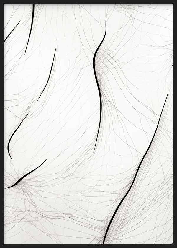 Cuadro de líneas negras curvas sobre fondo blanco con finos trazos grises entrelazados, composición abstracta de estilo minimalista. Disponible en kudeko.com